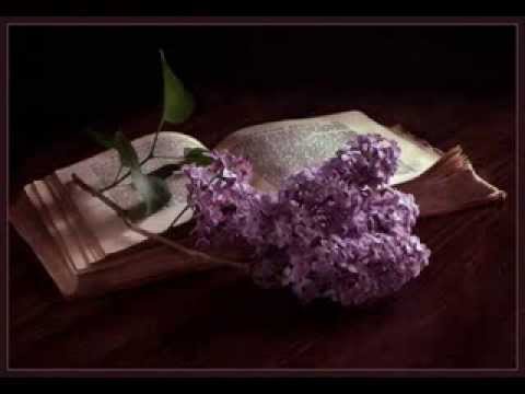 Видео: Йовин  "У последних строк"