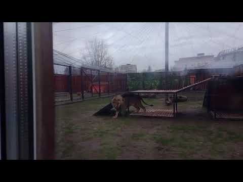 Видео: 02.11.25. Видео от Ивана