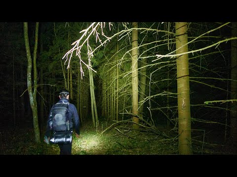 Видео: ММБ весна 2025