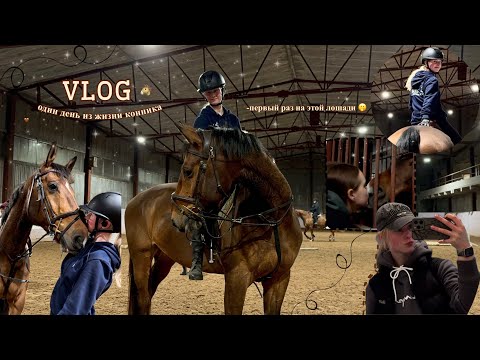 Видео: VLOG 🤎 Один день из жизни конника🐴 Тренировка на новой лошади 🫢#конюшня #vlog #horses #equestrian