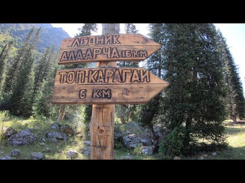 Видео: Ледник Ала-Арча