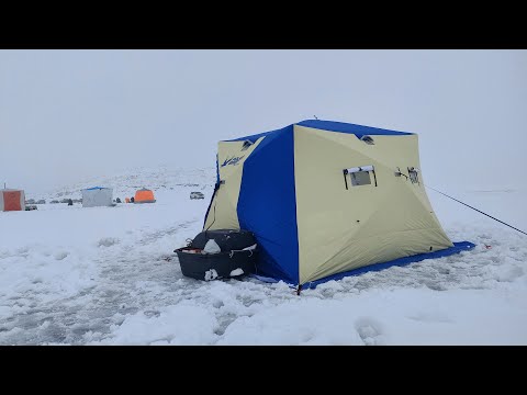 Видео: БЕШЕНЫЙ КЛЁВ !!! НАДЁРГАЛИ ТРИ СОТНИ ШТУК. ЗИМНЯЯ РЫБАЛКА С КОМФОРТОМ 2024