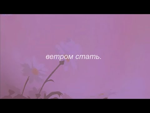 Видео: ⋘макsим - ветром стать⋙ slowed + reverb