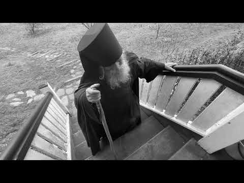 Видео: «ЧТО Я ХОЧУ СКАЗАТЬ?..»