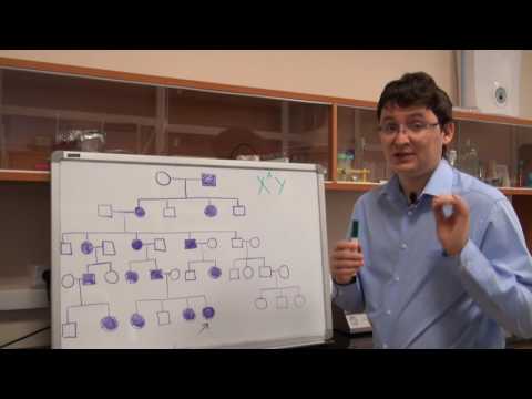 Видео: Анализ родословных. Урок 6. Задача 7.4 (быстрый разбор в конце)