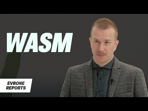 Видео: WASM: цель, устройство, перспективы | Владимир Хомутов