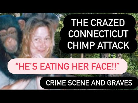 Видео: УЖАСАЮЩИЙ СЛУЧАЙ ШИМПАННЕ ТРЭВИСА — Зверское нападение и пересадка лица, потрясшая мир