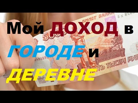 Видео: Мои доходы в городе и деревне/Переезд в деревню.