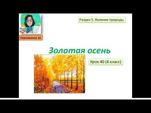 Видео: Золотая осень