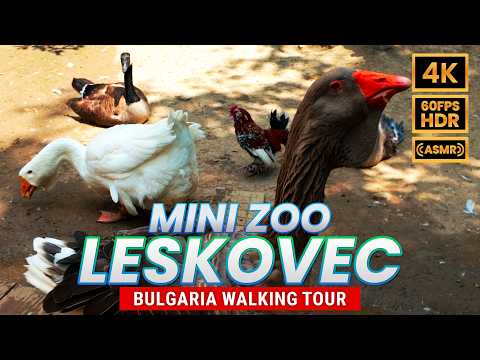 Видео: Мини-зоопарк в Лесковце, Болгария: Пешеходная экскурсия 4K HDR