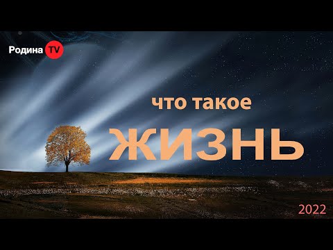 Видео: что такое ЖИЗНЬ  ||  запись прямого эфира, Родина НВ
