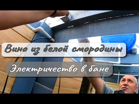 Видео: ЭЛЕКТРИЧЕСТВО В БАНЕ  ВИНО ИЗ БЕЛОЙ СМОРОДИНЫ