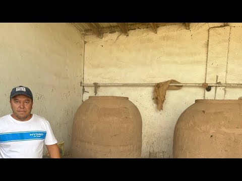 Видео: «Узбекский тандыр: секрет вкуснейшего хлеба и мяса!»