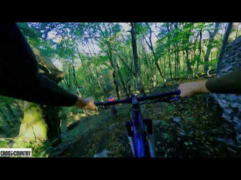 Видео: МТБ Трейл | Лохматый/Кантри лес и Лучистый с Владосом!