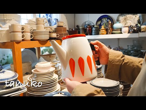 Видео: Прогулка по Копенгагену осенью🇩🇰 Делаю чехол для телефона с изображением моего любимого кота🐈🐈❤️