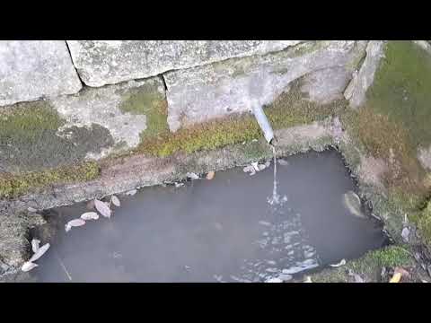 Видео: Чешмите в горите на моя град + нови приятели еп.1