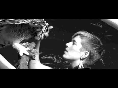 Видео: Движение - Кукрыниксы ( st.skvortsov )