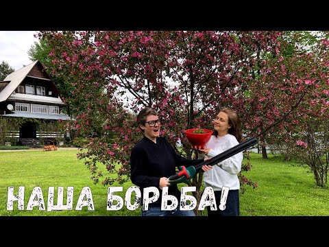 Видео: Сносим всё!  | Смена имиджа и уход за участком | Дачная рутина | Готовим плов в казане
