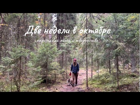 Видео: Две недели в октябре. Распаковка посылок, новая пряжа, торт и вязаный зверек 🍂 Осень в Карелии 2024