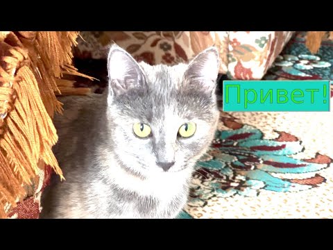 Видео: 18 05 2024г  как мы живём в Зарафшане #зарафшан #городдетства #настальгия