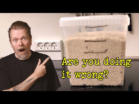 Видео: Вы неправильно ферментируете хлеб на закваске? | Мастер-класс по ферментации