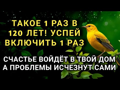 Видео: УСПЕЙ ВКЛЮЧИТЬ 1раз! СЧАСТЬЕ ВОЙДЁТ В ДОМ, А ПРОБЛЕМЫ ИСЧЕЗНУТ САМИ! Это Чудо 🔊🤲✨🔑💯