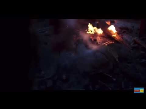 Видео: САГА ВИНКС: БЛУМ И ВАЛТОР 🔥 WINX SAGA: BLOOM AND VALTOR season 2 fan made