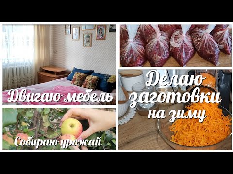 Видео: Создаю УЮТ в спальне / Собираю УРОЖАЙ / Заготовки БОРЩА на зиму