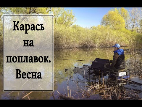 Видео: Карась на поплавок. Весна.