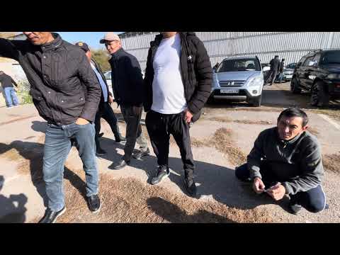 Видео: 3- бөлім Авторынок Алматы жақсы еөліктер сатылымда камри 20, 25, 30, 40, 45 және басқада көліктер