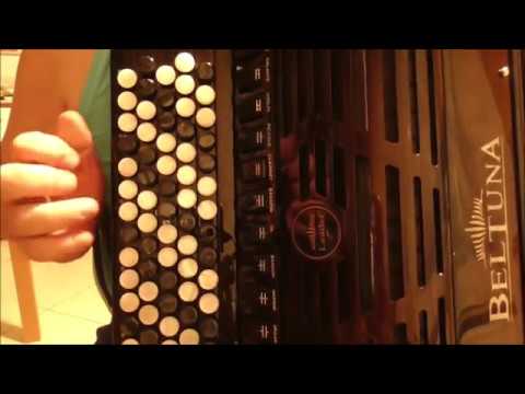 Видео: ОГНЕЙ ТАК МНОГО ЗОЛОТЫХ с текстом  Разбор на баяне