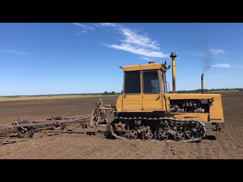 Видео: Пуск с пускача ДТ-75.  ДТ-75+бороны. ДТ-75 + плуг ПЛН 4-35.Трактор кировец.