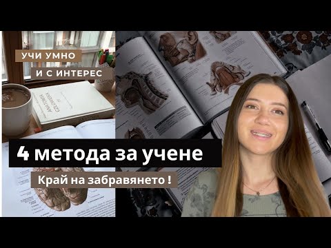 Видео: КАК ДА УЧИМ ЕФИКАСНО?/ 4 метода за по-бързо учене📚