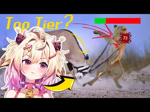 Видео: Рога — это OP? | rosiebellmoo реагирует на tierzoo