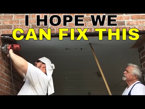 Видео: Пчелы в районе HOA