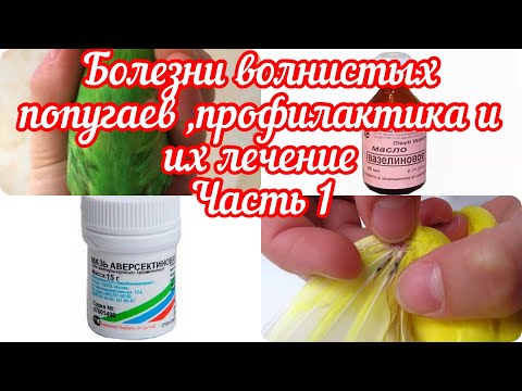 Видео: БОЛЕЗНИ У ВОЛНИСТЫХ ПОПУГАЕВ🦜🦜 ЧАСТЬ1 / СИМПТОМЫ КЛЕЩА / ПРОФИЛАКТИКА И ЛЕЧЕНИЕ.