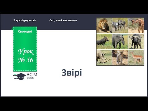 Видео: ЯДС 1 клас. Урок 56. Звірі.