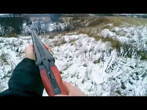 Видео: охота на зайца (русака)#ружьё мр 43 #