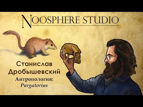 Видео: Антропология: Purgatorius. Станислав Дробышевский