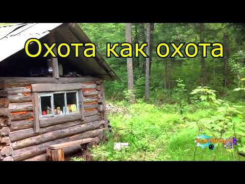 Видео: Охота на косулю | Испытание морозом
