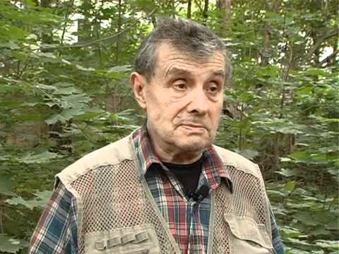 Видео: Вс. Некрасов отвечает на вопросы С.Лейбграда