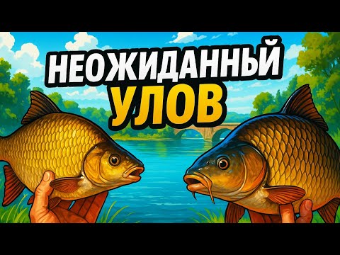 Видео: Карп 2,6 кг и гигантский лещ 60 см — готовка в аэpoгpиле!
