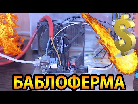 Видео: БАБЛОФЕРМА на orange pi - Часть 3
