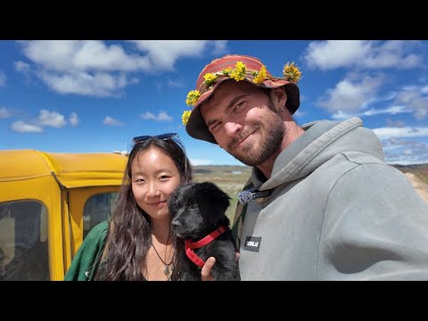 Видео: Путешествую с КОРЕЯНКОЙ и собакой на тук туке.