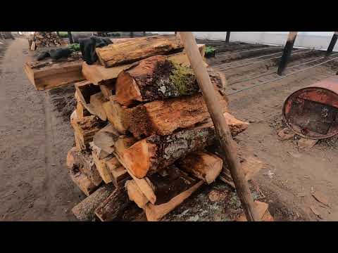 Видео: К высадке рассады огурцов готовы. Ждём тепла