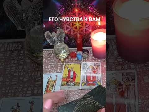 Видео: ЕГО ЧУВСТВА К ВАМ❤❤❤