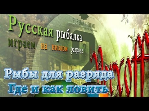 Видео: Угорь База Паша Русская рыбалка 3.7.4