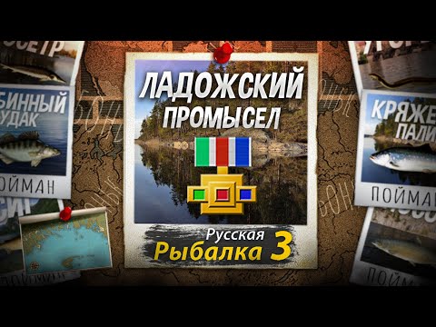 Видео: Ладожский Промысел 9 Из 9. Русская Рыбалка 3. Самый Первый Промысел для Новичка.