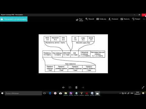 Видео: Урок 02  Изучаем машинный код и Ассемблер