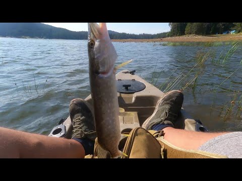 Видео: Язовир Широка поляна.За Щуки и костури в рая😃